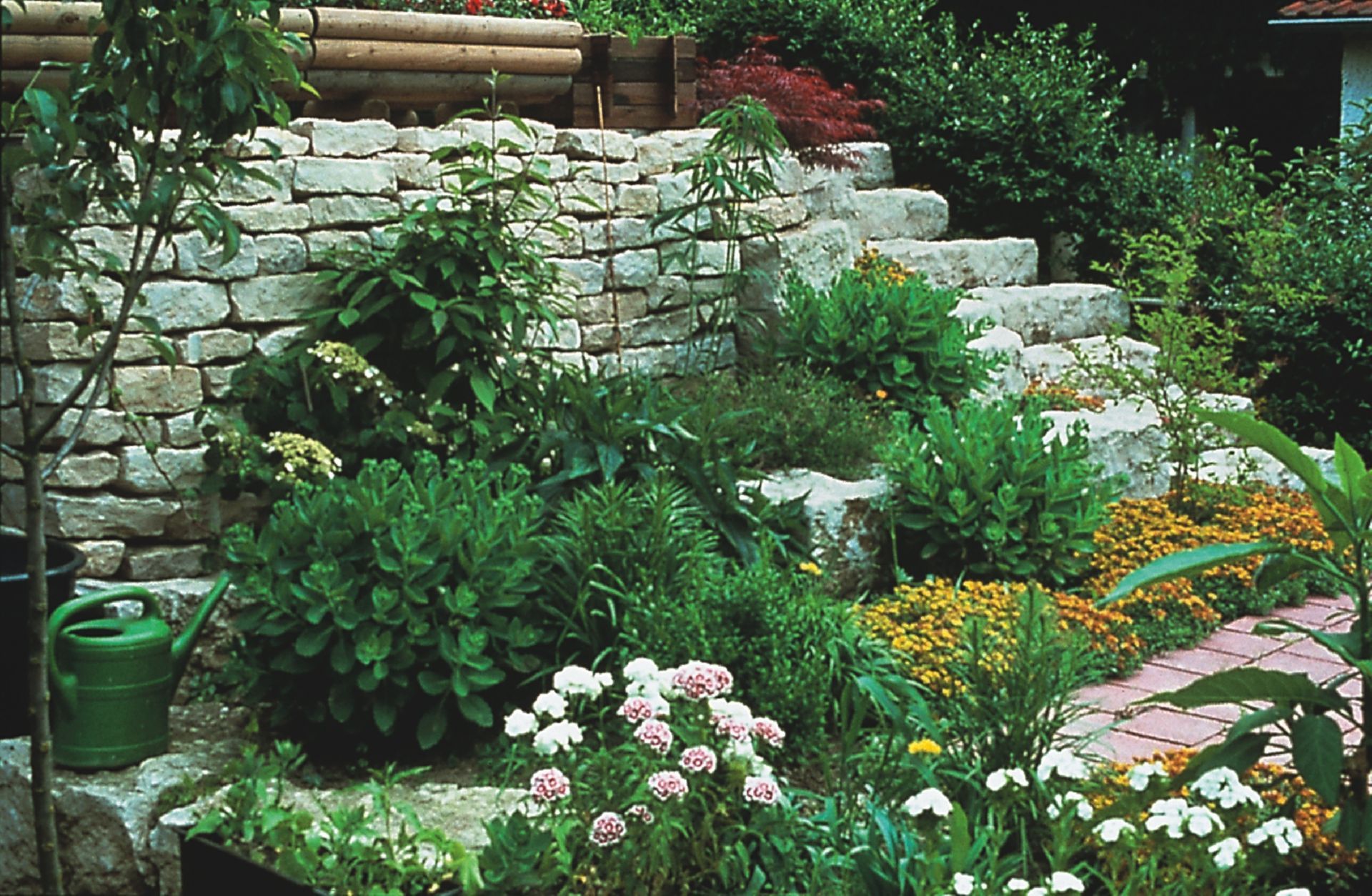 Steinstufen und -mauern in einem Garten voller Grün und blühender Pflanzen, eine Gießkanne ist sichtbar.