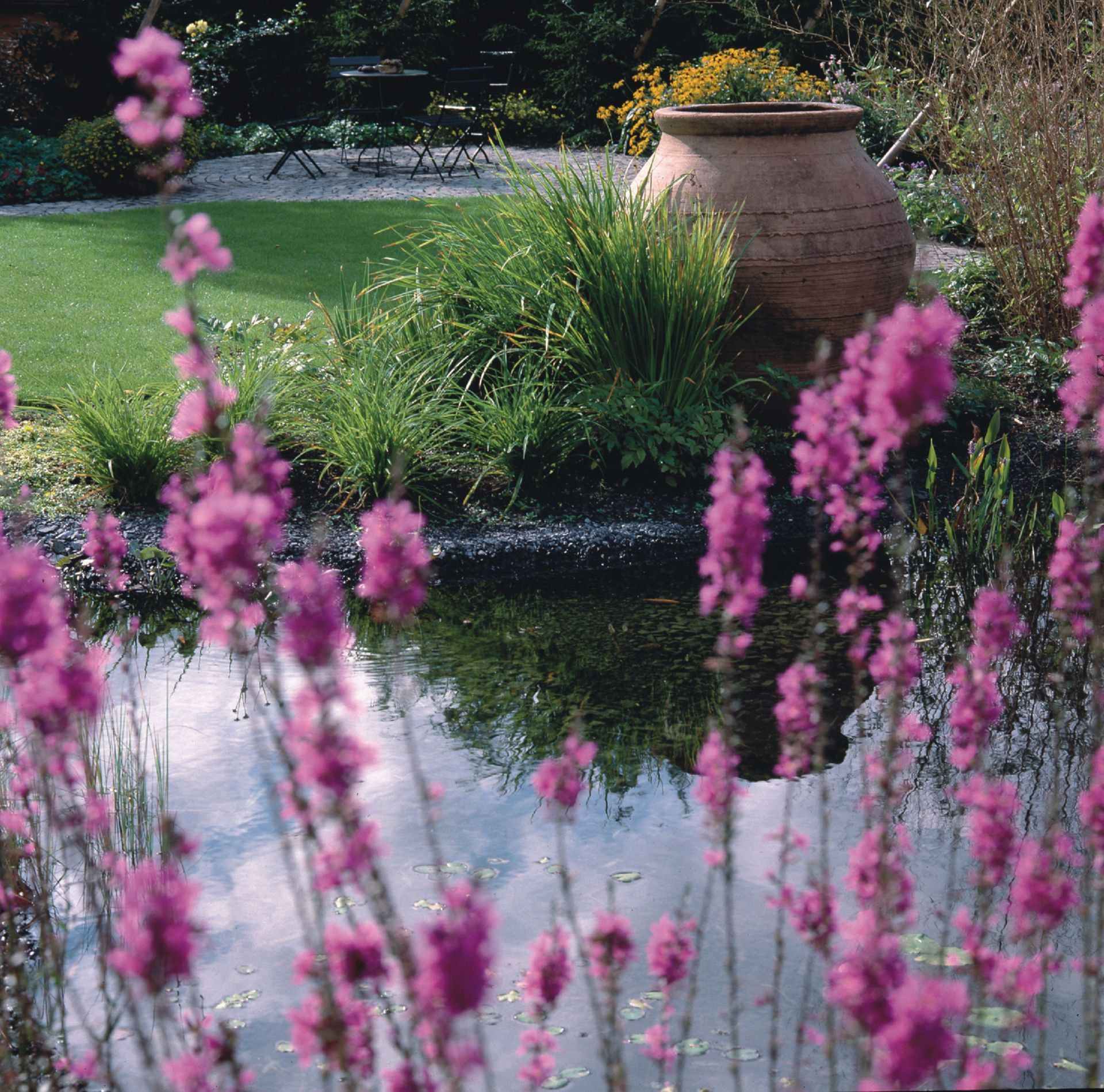 Rosa Wildblumen umrahmen einen stillen Teich, in dem sich ein klarer Himmel, üppiges Grün und ein Terrakotta-Topf in einer Gartenumgebung spiegeln.