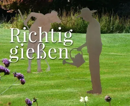 Metallische Silhouette einer Person, die einen Rasen gießt; in der Mitte steht das Wort „Richtig gießen“.