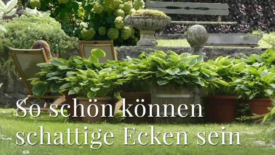 A person relaxes in a shady garden with potted plants. Text: