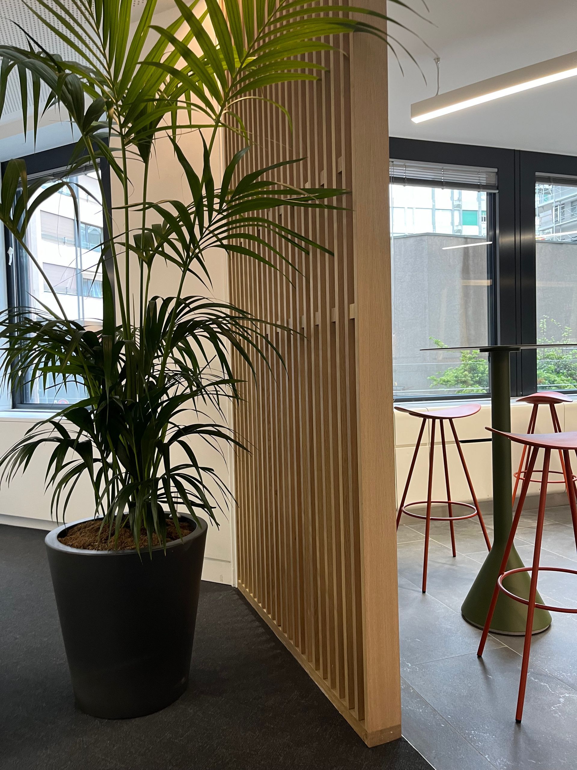 A potted plant is sitting next to a wooden divider in a room.