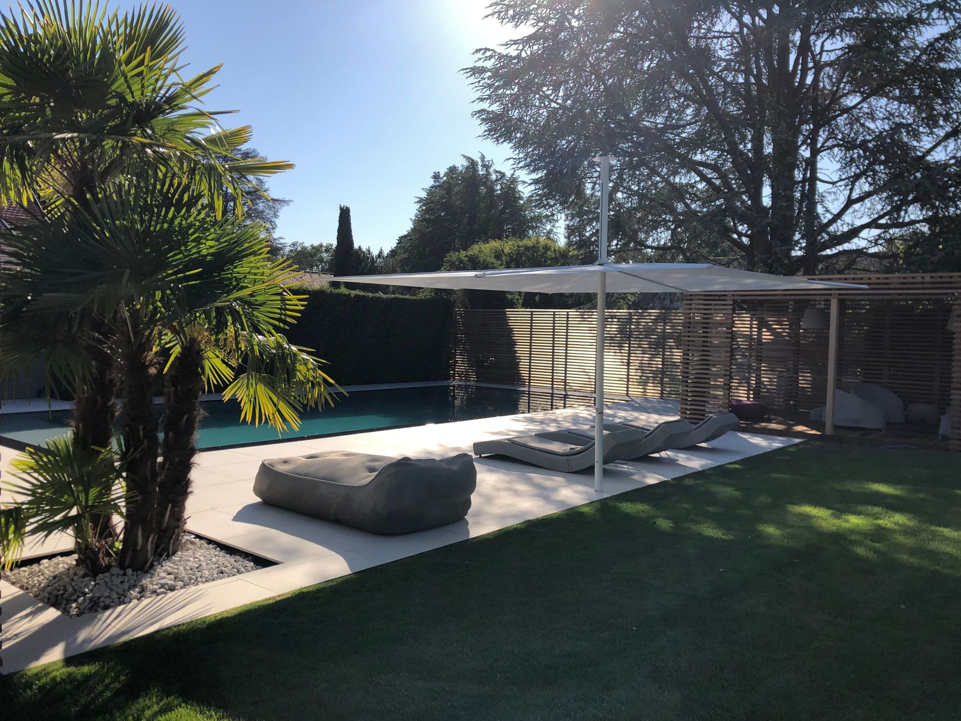 A backyard with a swimming pool and a canopy over it