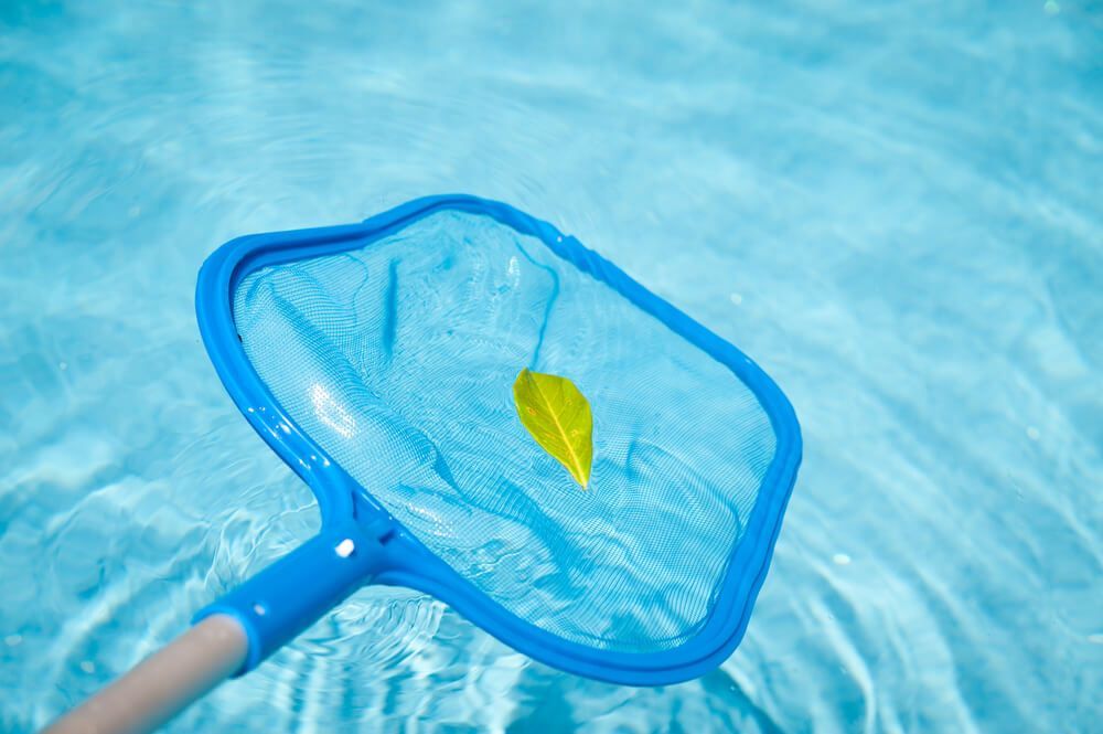 Un filet de piscine bleu ramassant une feuille jaune dans une eau claire et bleue.