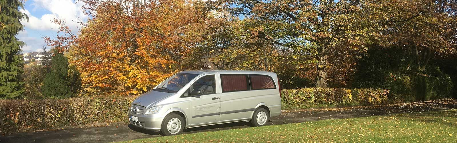 Ein silberner Lieferwagen ist auf einer Wiese vor Bäumen geparkt.