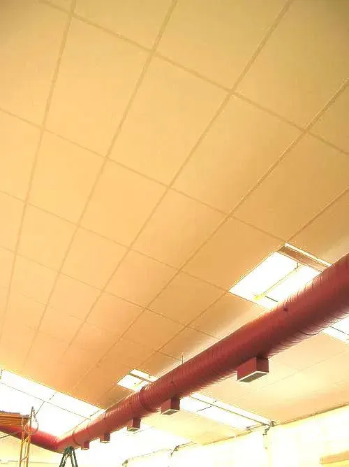 Un techo de tejas con tubos rojos, luces fluorescentes y una parte de una habitación.