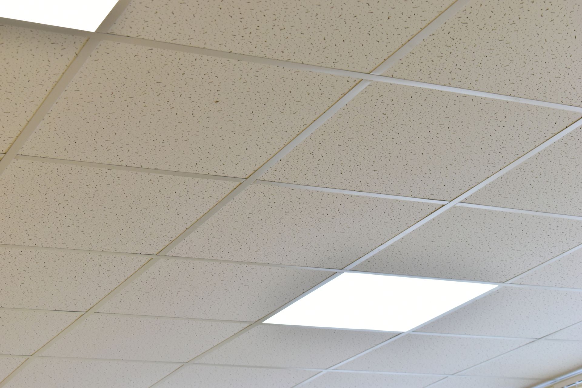 Techo de oficina blanco con iluminación empotrada y azulejos texturizados.