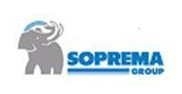 Logotipo de elefante gris, texto azul