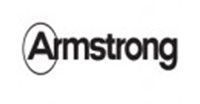 Logotipo de Armstrong: texto