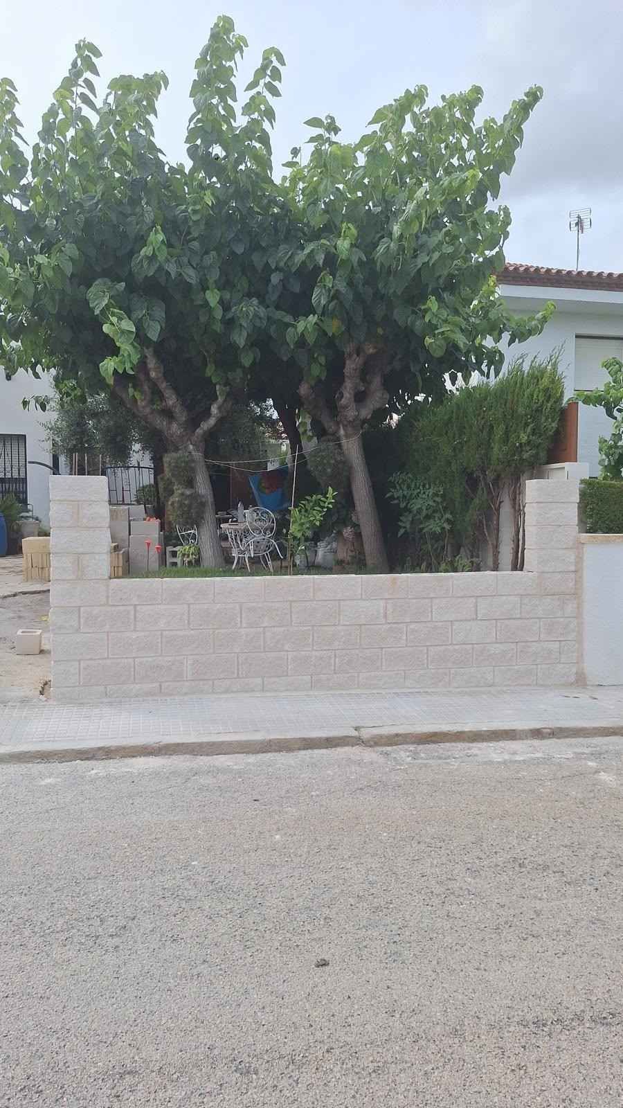 Un árbol frondoso en un pequeño jardín delantero, detrás de un muro bajo de piedra, junto a una calle residencial.