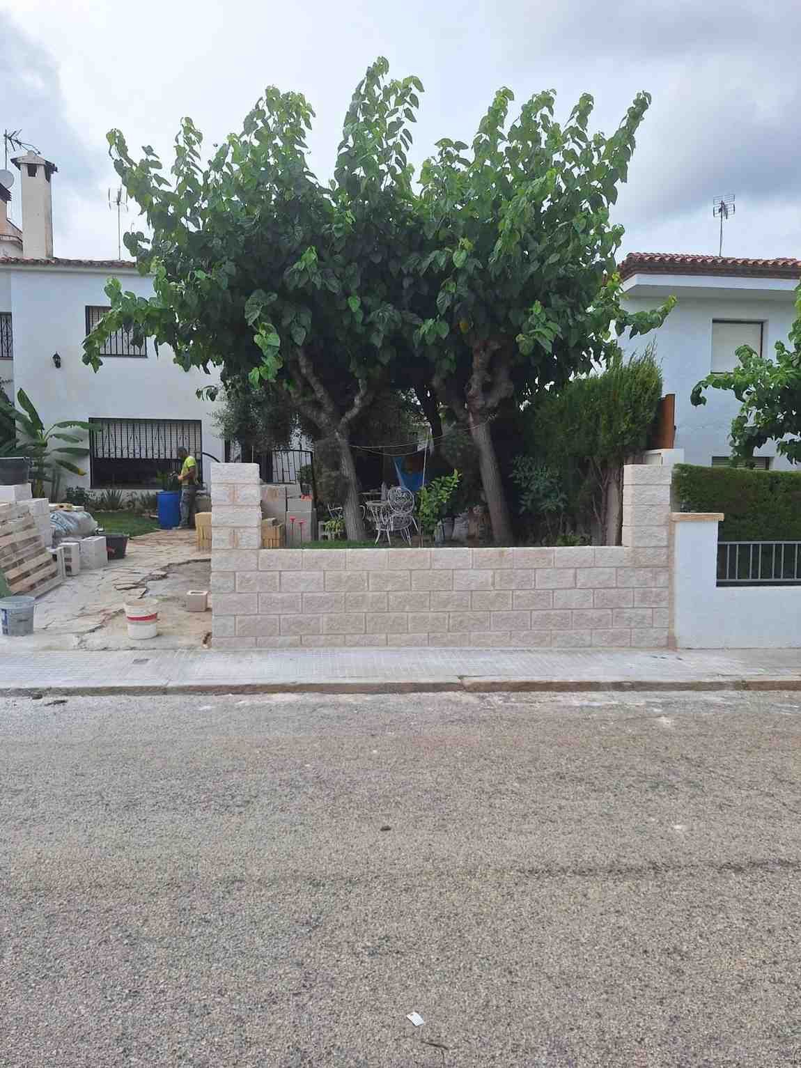 Casa con un gran árbol frondoso al frente, un muro bajo de piedra y una entrada para vehículos junto a una calle tranquila.