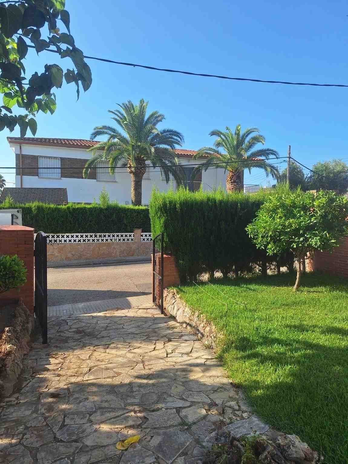 Un camino de piedra conduce a una casa blanca con palmeras, setos verdes y un patio soleado.