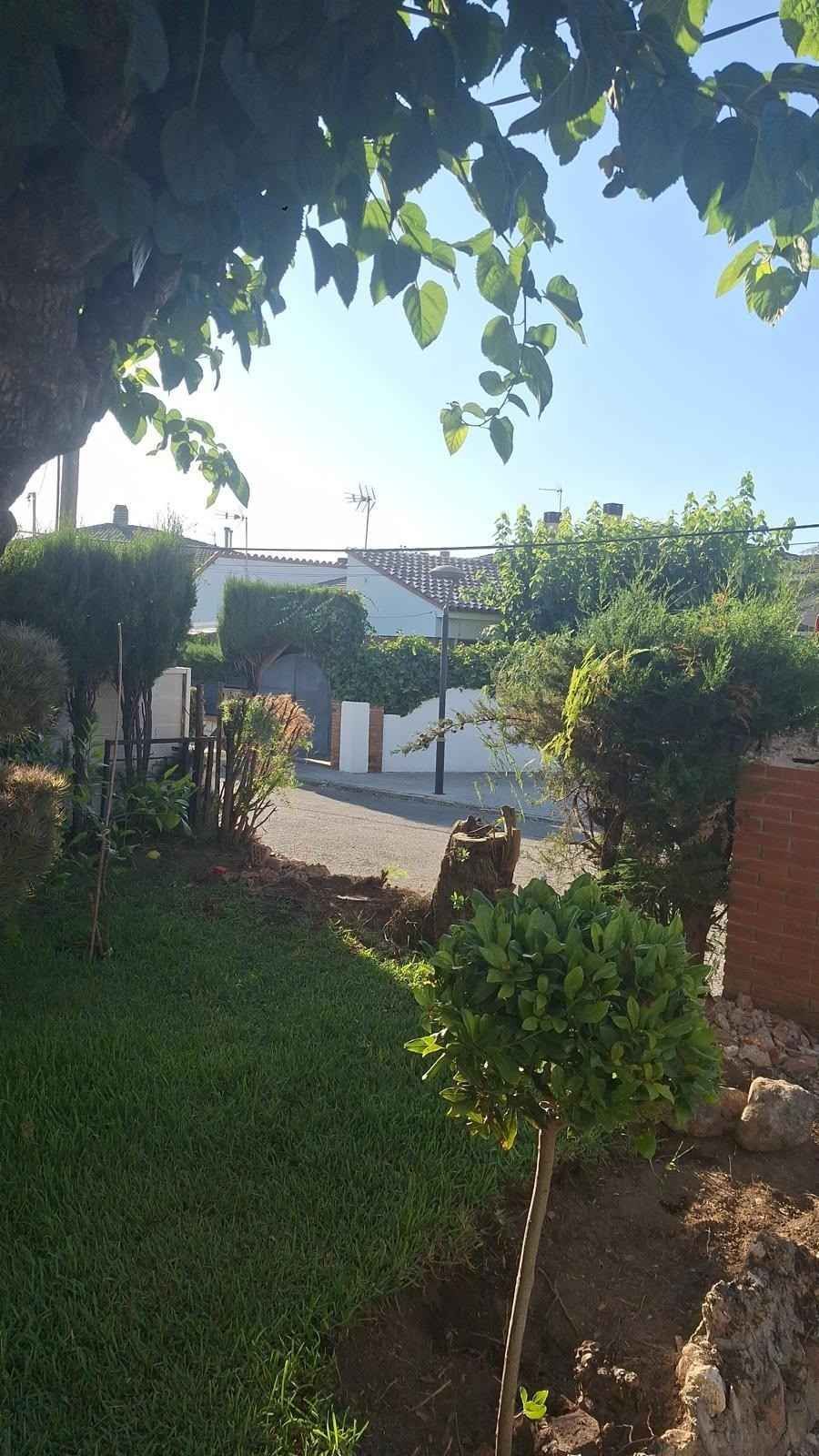 Jardín soleado con arboleda, césped verde, arbustos y una puerta blanca al fondo.