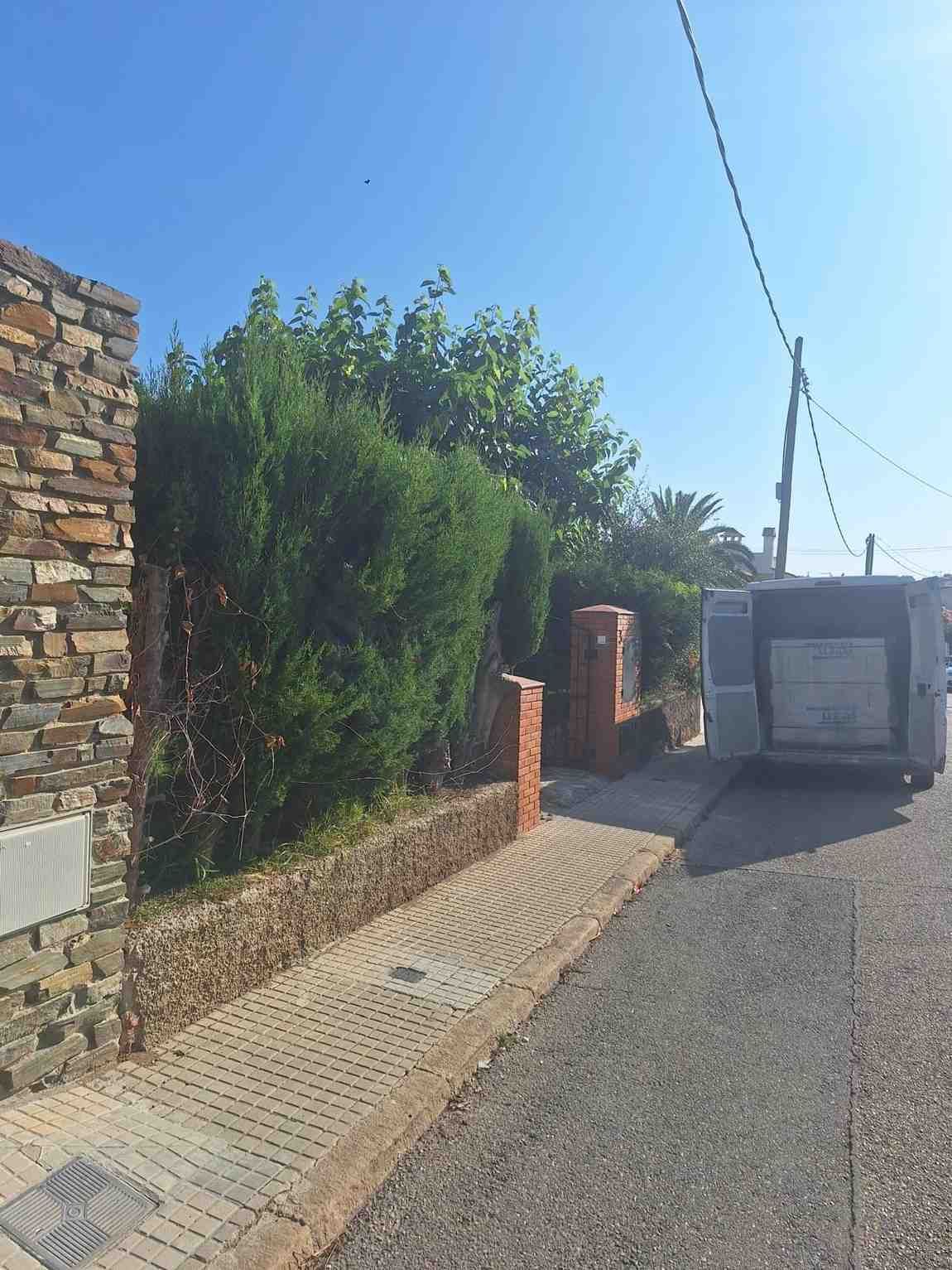 Calle residencial estrecha con muros de piedra, setos densos y un camión estacionado más adelante bajo un cielo brillante.