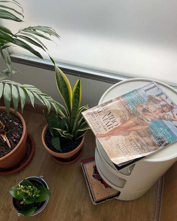 Plantas de interior junto a una ventana, al lado de un taburete blanco con una revista encima.