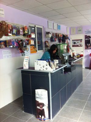 Una mujer está sentada en un mostrador en una tienda de mascotas.