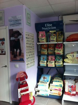 Una exhibición de alimentos para perros de Elite Nutricion en una tienda.