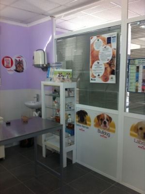 Un consultorio veterinario con una mesa y un cartel en la pared que dice bulldog