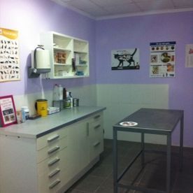 Un consultorio veterinario con paredes moradas y gabinetes blancos.