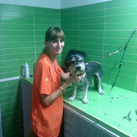 Una mujer sostiene un perro pequeño en sus brazos en un baño.
