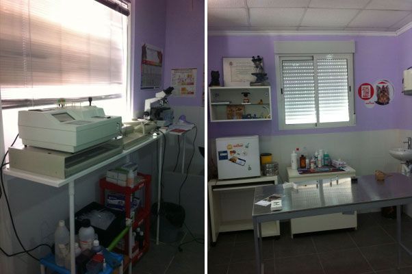 Dos fotografías de una habitación con paredes moradas y un microscopio.