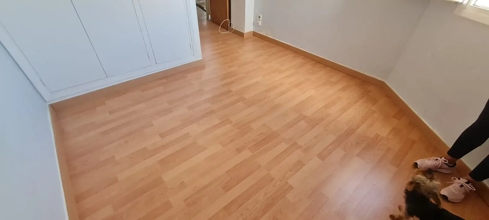 Una persona está parada junto a un perro en una habitación con pisos de madera.