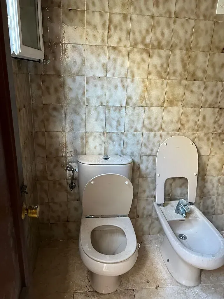 Hay un inodoro y un bidé en el baño.