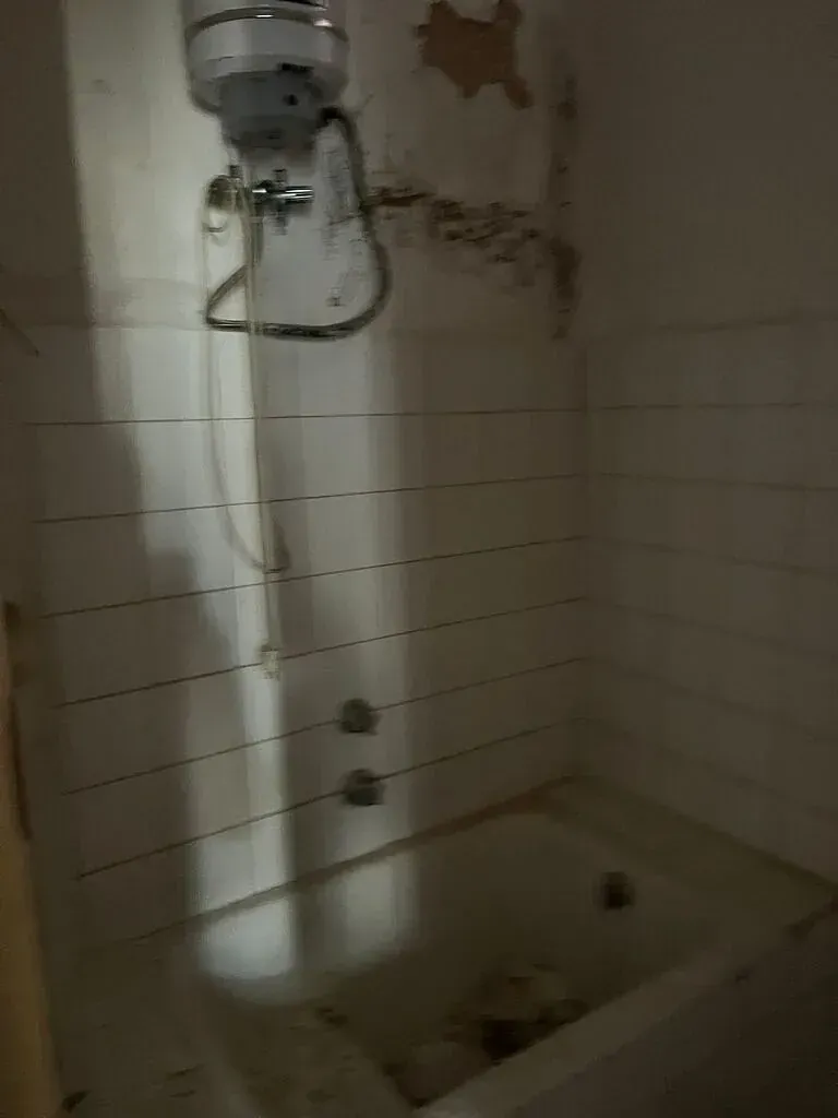Un baño con bañera y ducha.