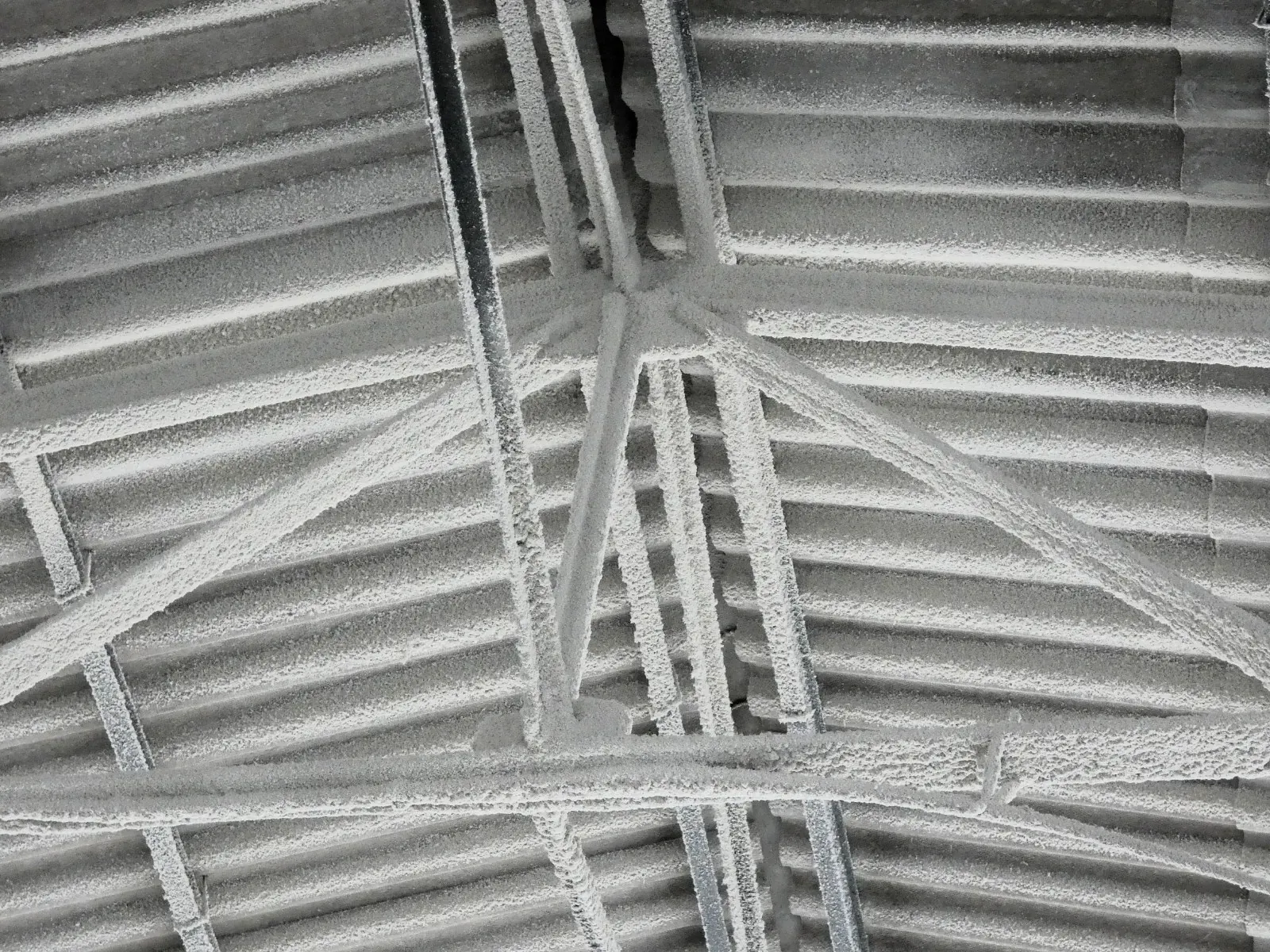 Una fotografía en blanco y negro del techo de un edificio.