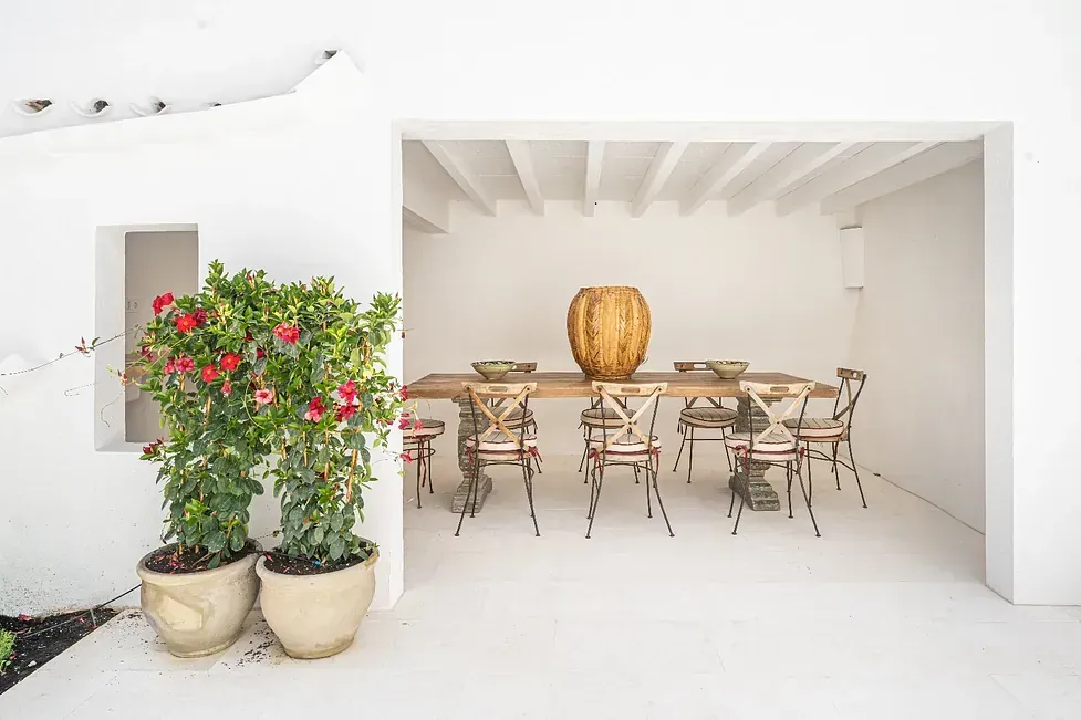 Un comedor con mesa y sillas y plantas en macetas.