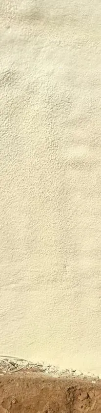Un primer plano de un trozo de madera blanca con un borde marrón.