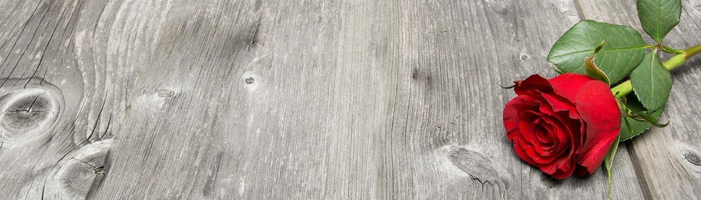 Bestattungen Birkhölzer Elke Birkhölzer Eine rote Rose liegt auf einer Betonoberfläche.