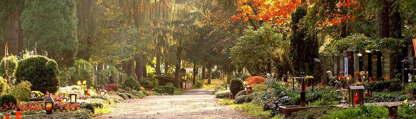 Bestattungen Birkhölzer Ein verschwommenes Bild eines Parks mit Bäumen und Blumen