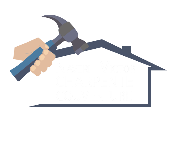 Logo Naveri
