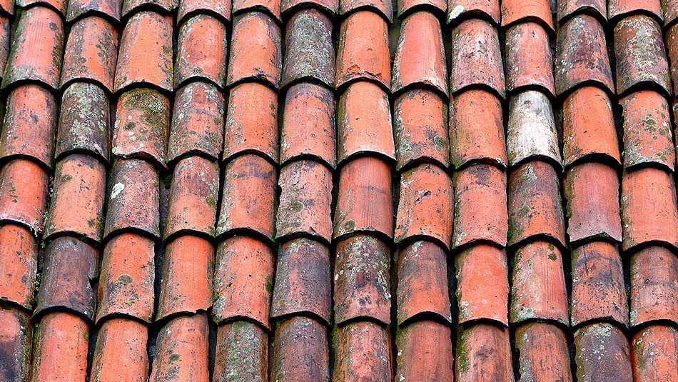 Plan serré de tuiles envahies par la mousse