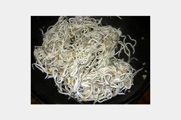Se está cocinando un montón de fideos en una sartén.