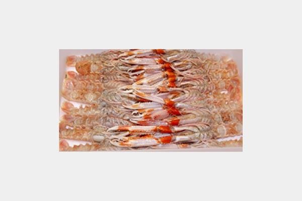 Un primer plano de una pila de camarones en una bolsa de plástico.