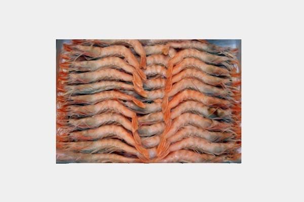 Una pila de camarones colocados uno encima del otro sobre una mesa.