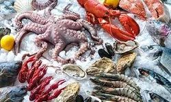 Una variedad de mariscos se encuentran sobre el hielo.