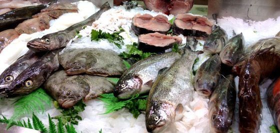 En un mercado de pescado se exhiben diversos pescados sobre hielo.