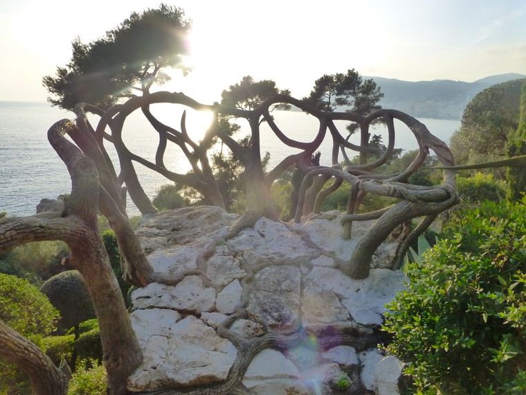 Jardin méditerranéen