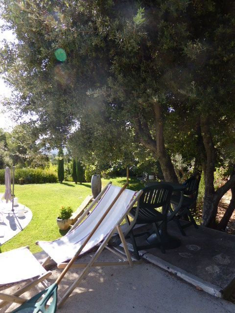 Jardin avec olivier et chaise longue