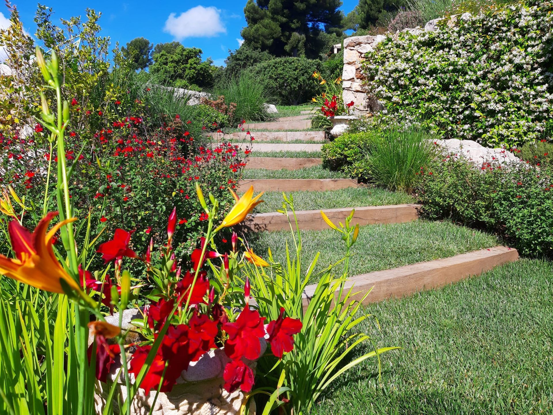 Jardin avec des marches en bois