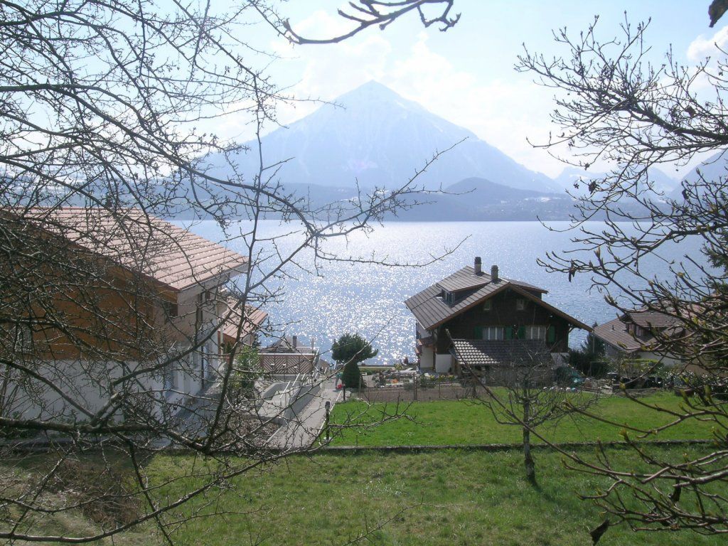 Ralph Zweifel Architektur & Immobilien