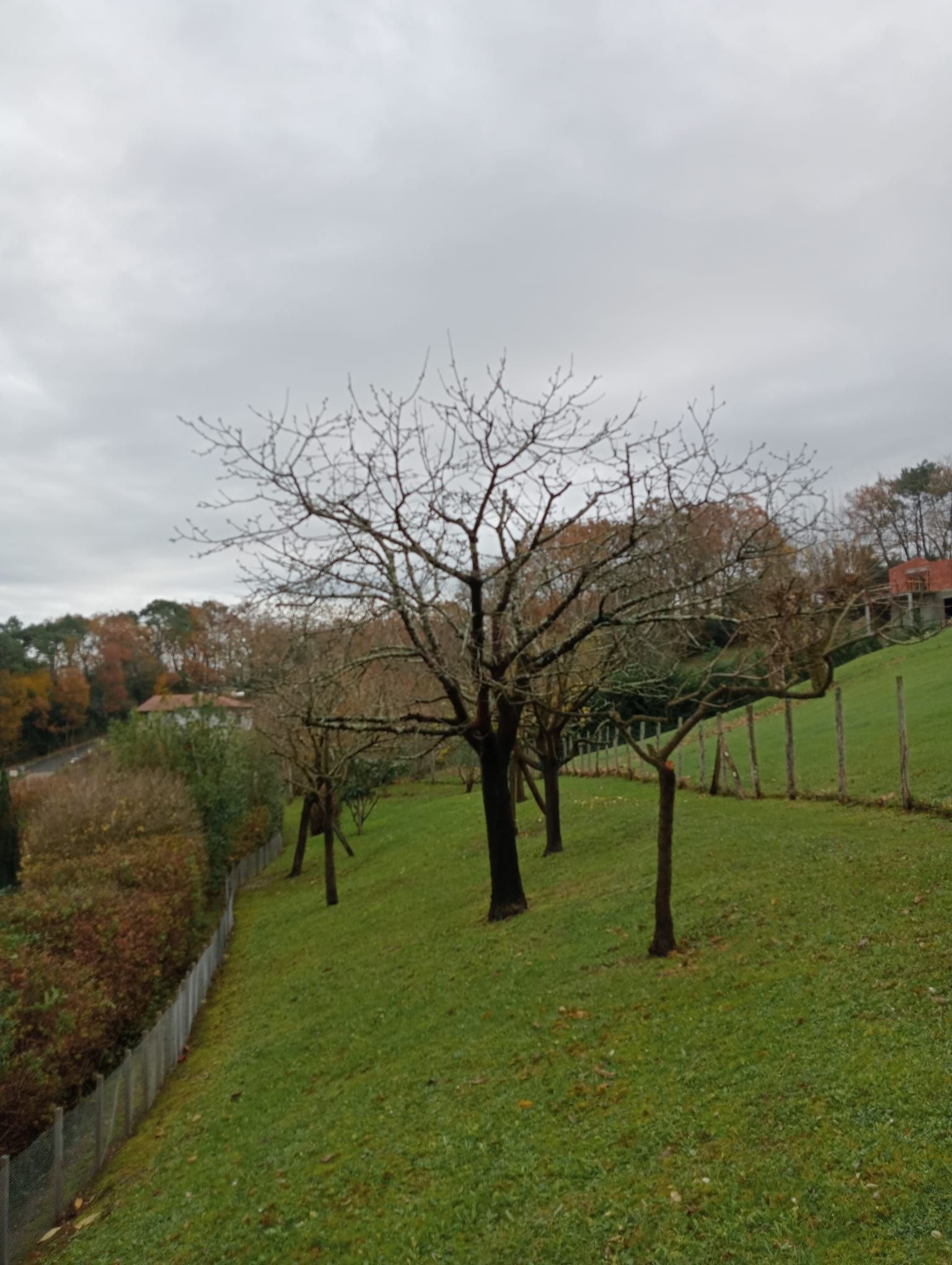 Suppression des saletés de terrasse au Kärcher
