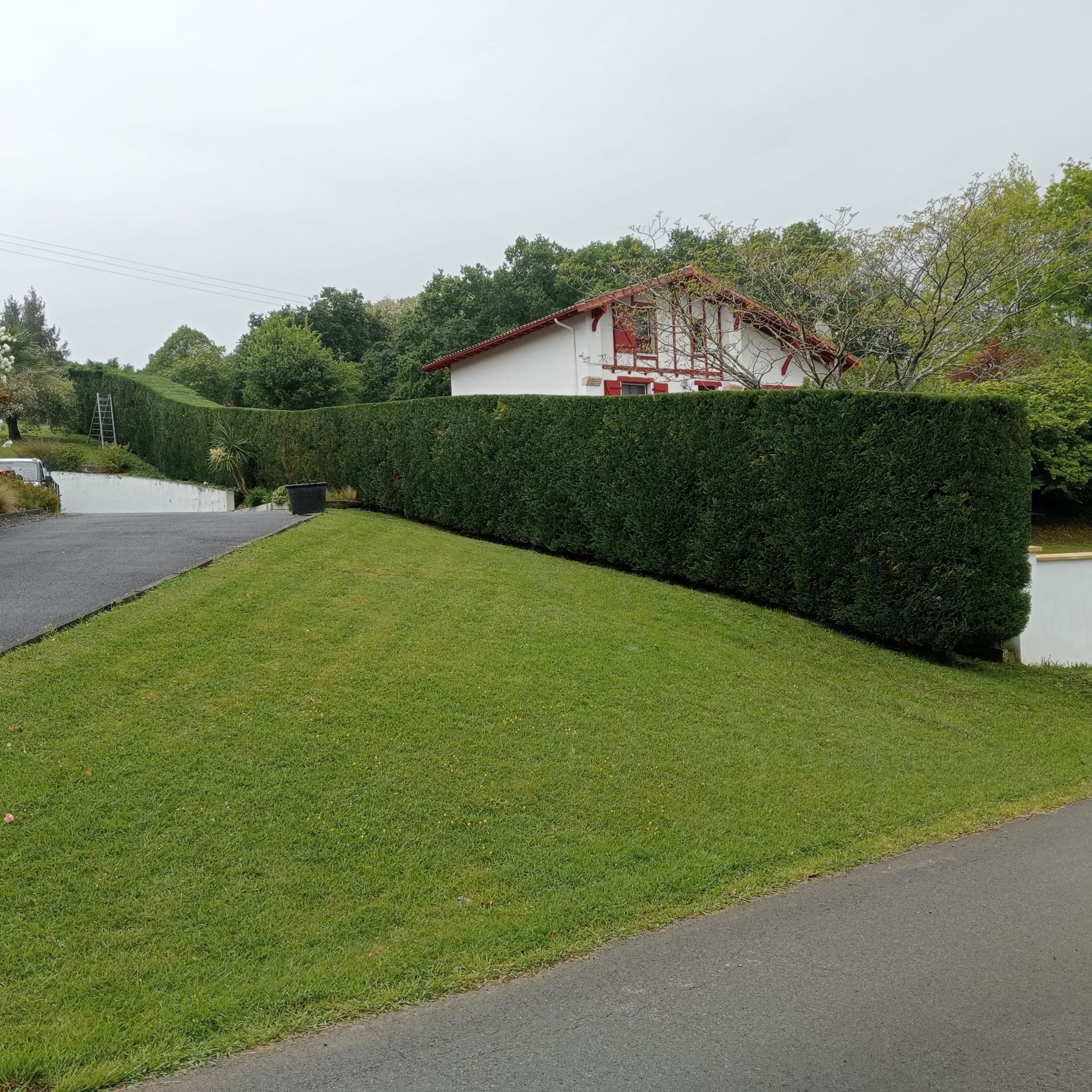 Entretien de jardin et haie taillée
