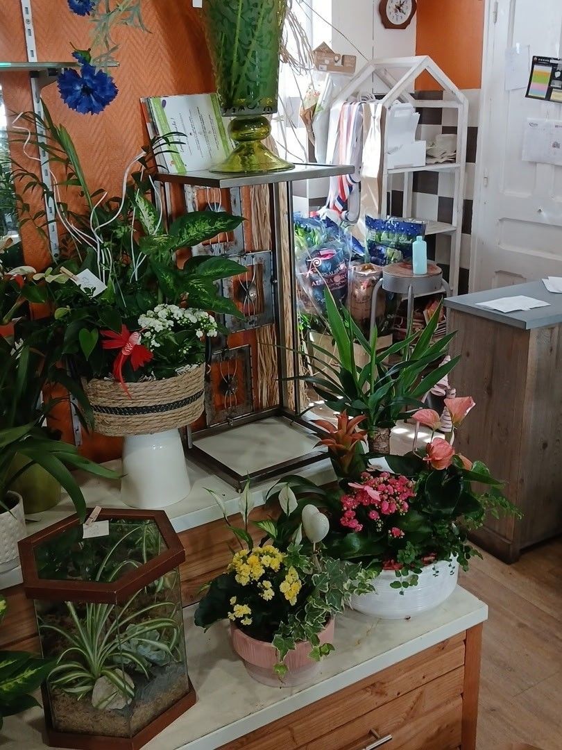 Présentation colorée de fleurs et de plantes en pot sur des étagères et une table dans un intérieur de maison