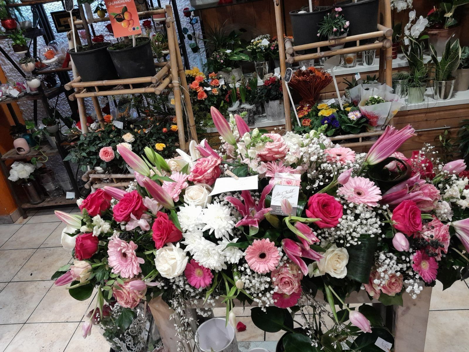 Dessus de cercueil fait de fleurs blanches, violettes roses et de plantes vertes