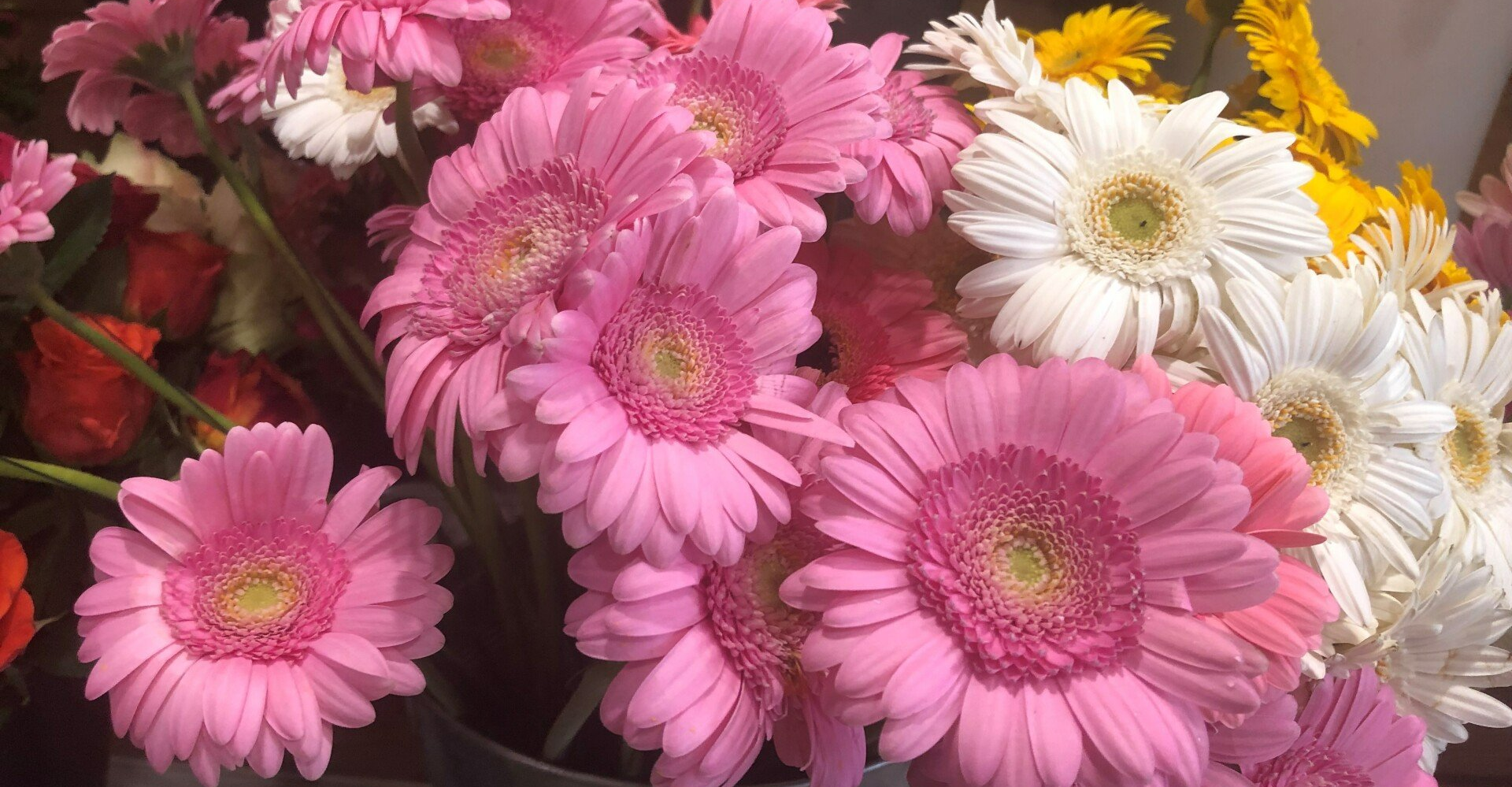 Fleurs roses et blanches