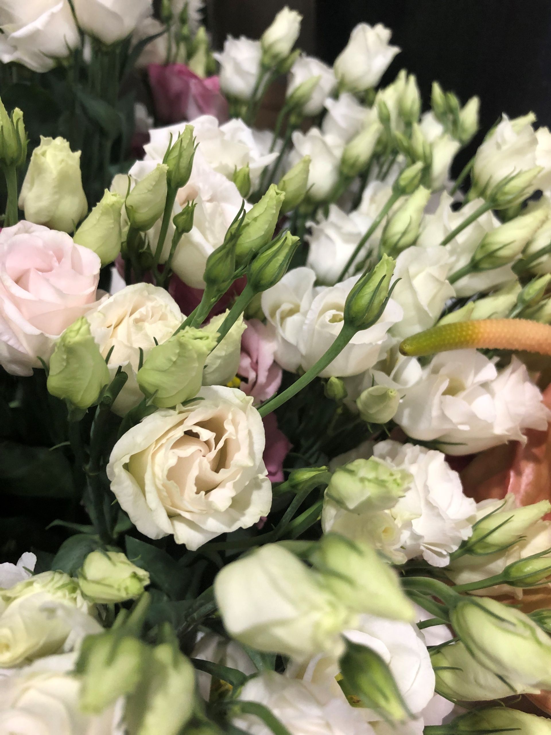 Bouquet de Lysianthus