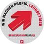 Berufsbildung Plus - Maler Gübeli GmbH - Wattwil - Ebnat-Kappel